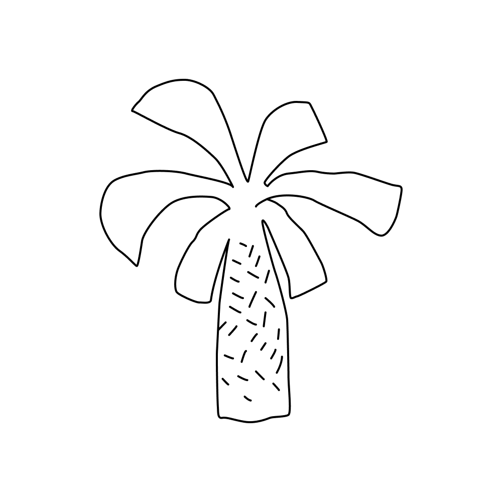 Coco Palm_outlined